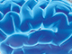 illustration of brain development control panel